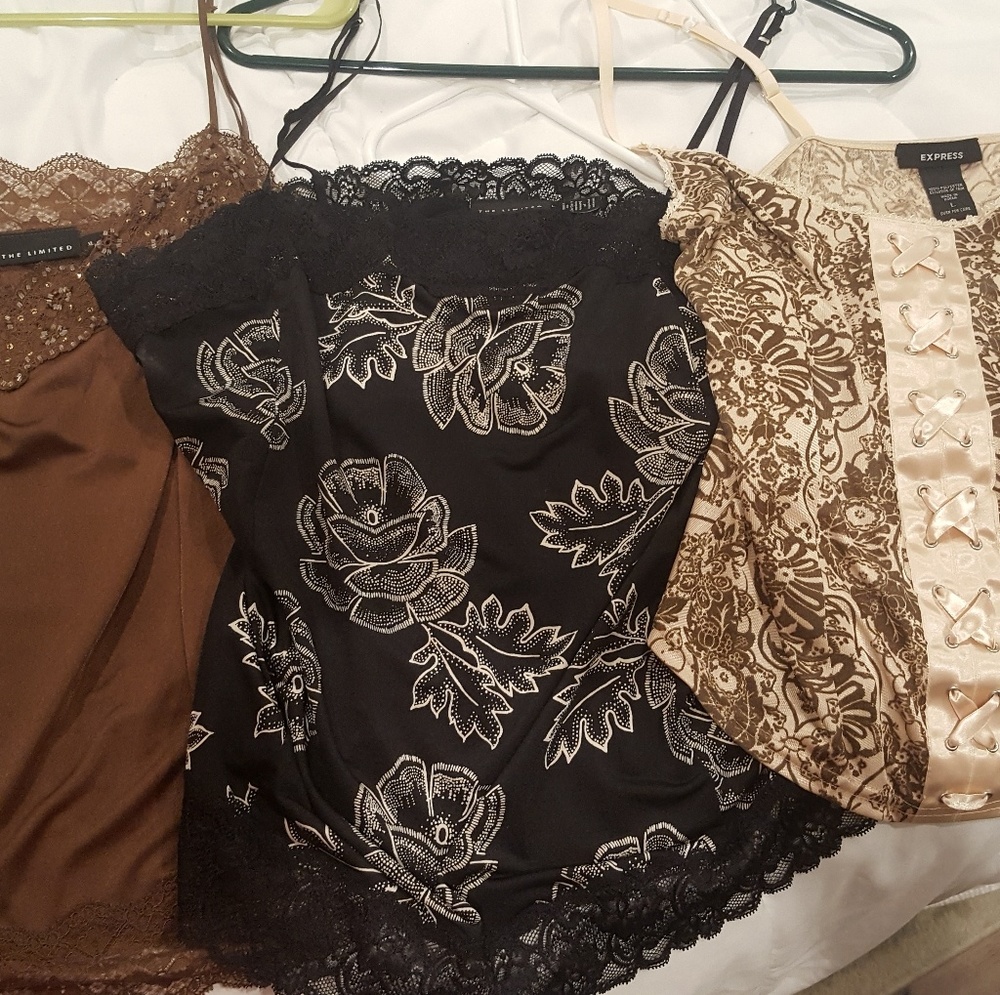 3 silk large, XL silk camesole tops.